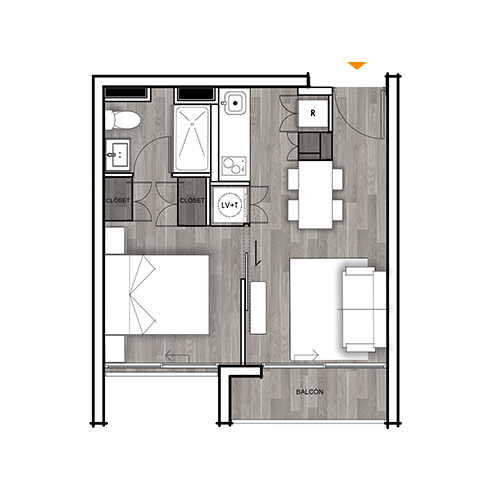 Planta C