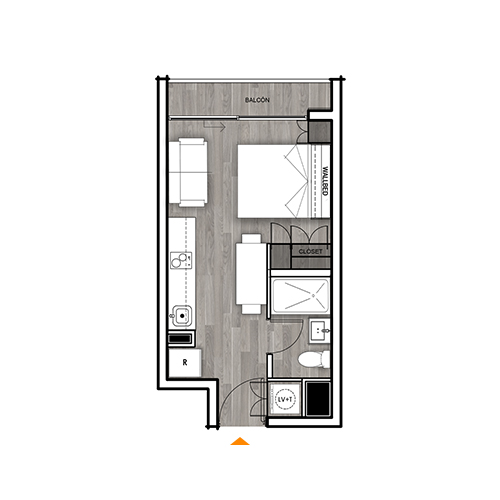 Planta C