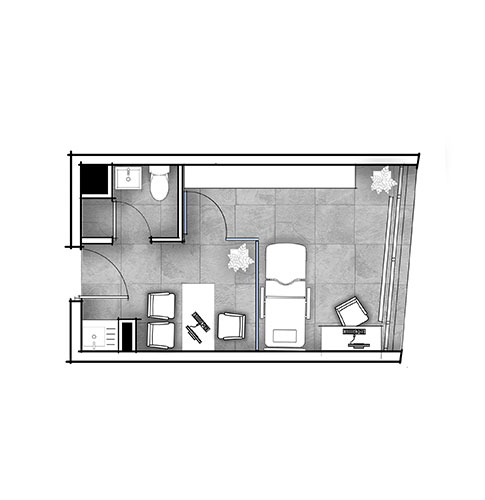Planta C