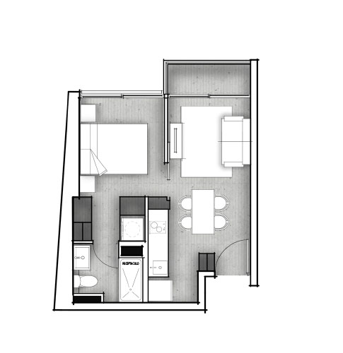 Planta C
