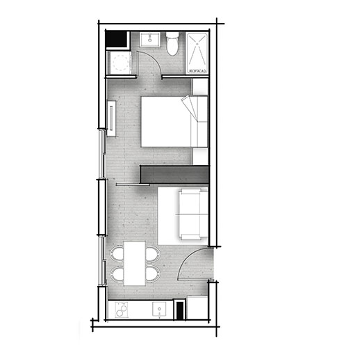 Planta C