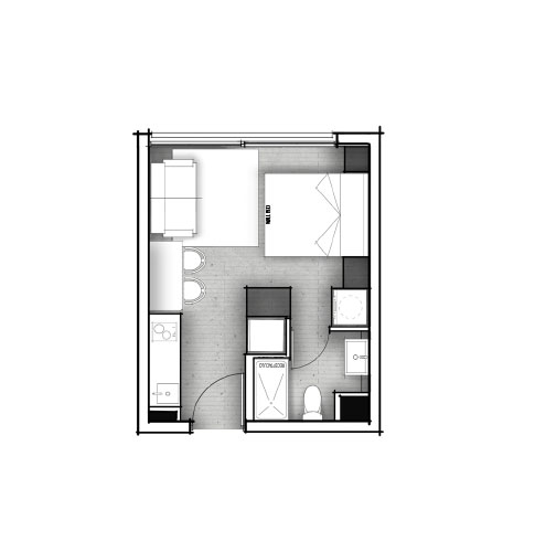 Planta C