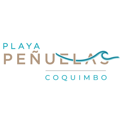 Logo Playa Peñuelas