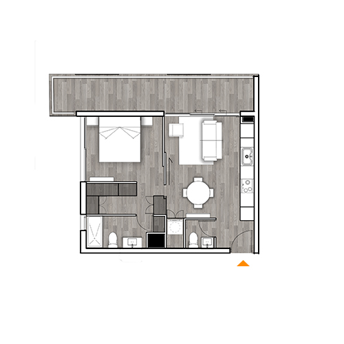 Planta C