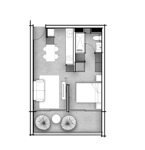 Planta C