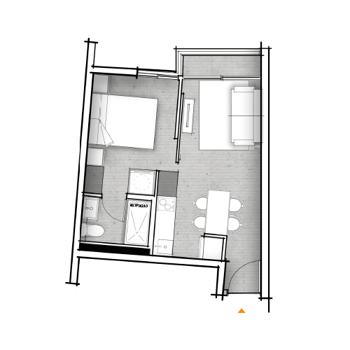 Planta C