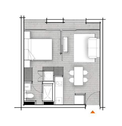 Planta C