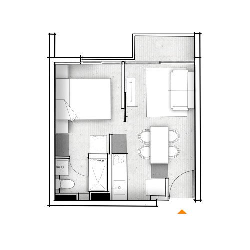 Planta C