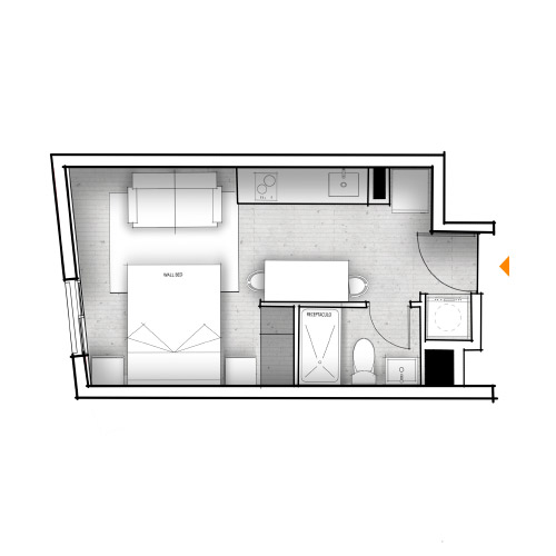 Planta C