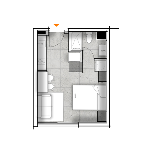 Planta C