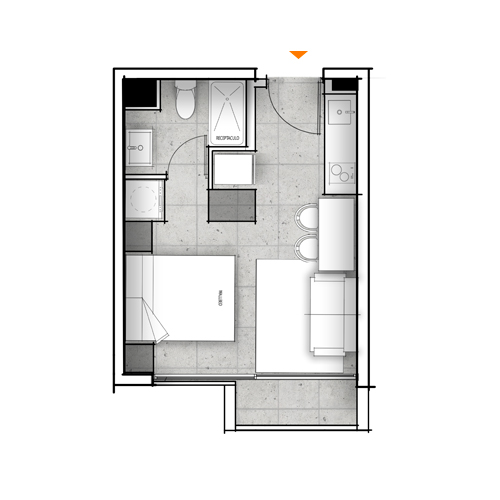 Planta C