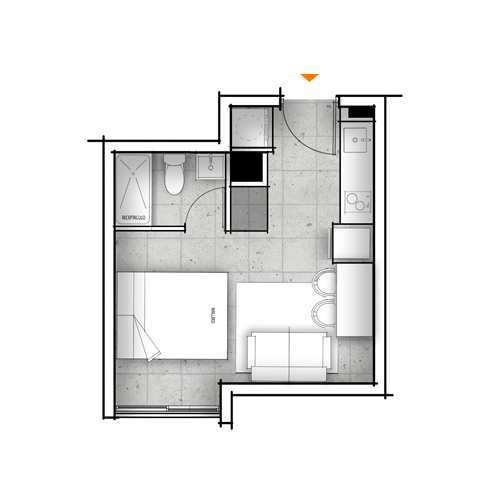 Planta C
